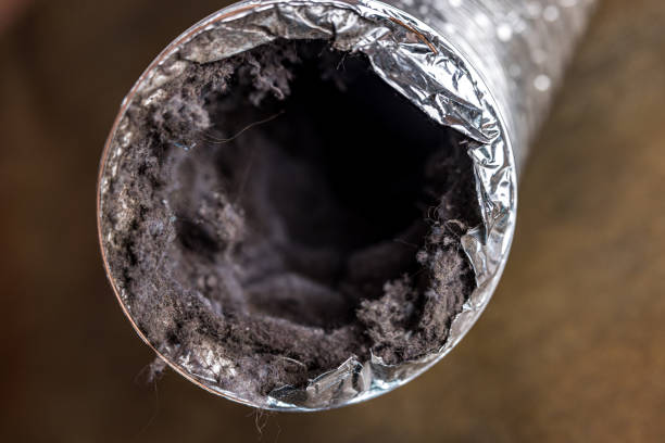 Best Air Duct Cleaning Near Me  in USA